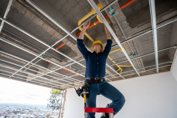 Best Plumbing Repair Near Me  in Brooksville, FL